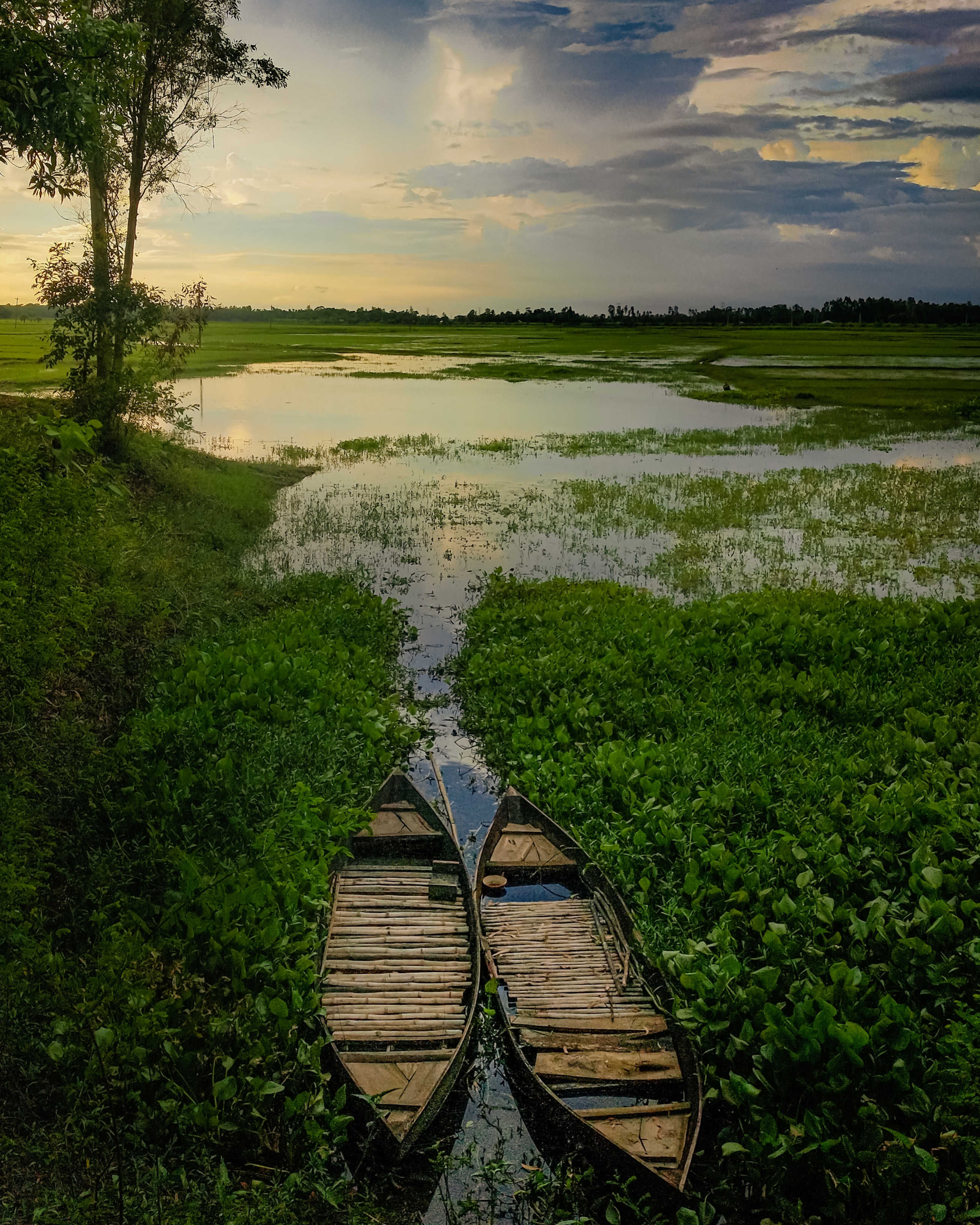 Sunset, river and boat