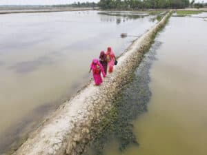 Long Walk for Water