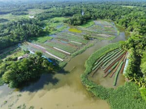Farming on Water in Bangladesh