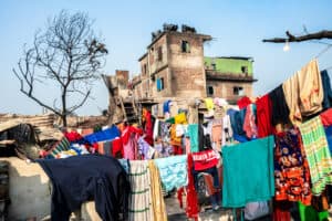 Life After Fire