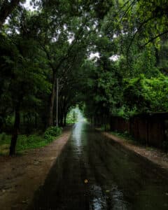 A rainy road
