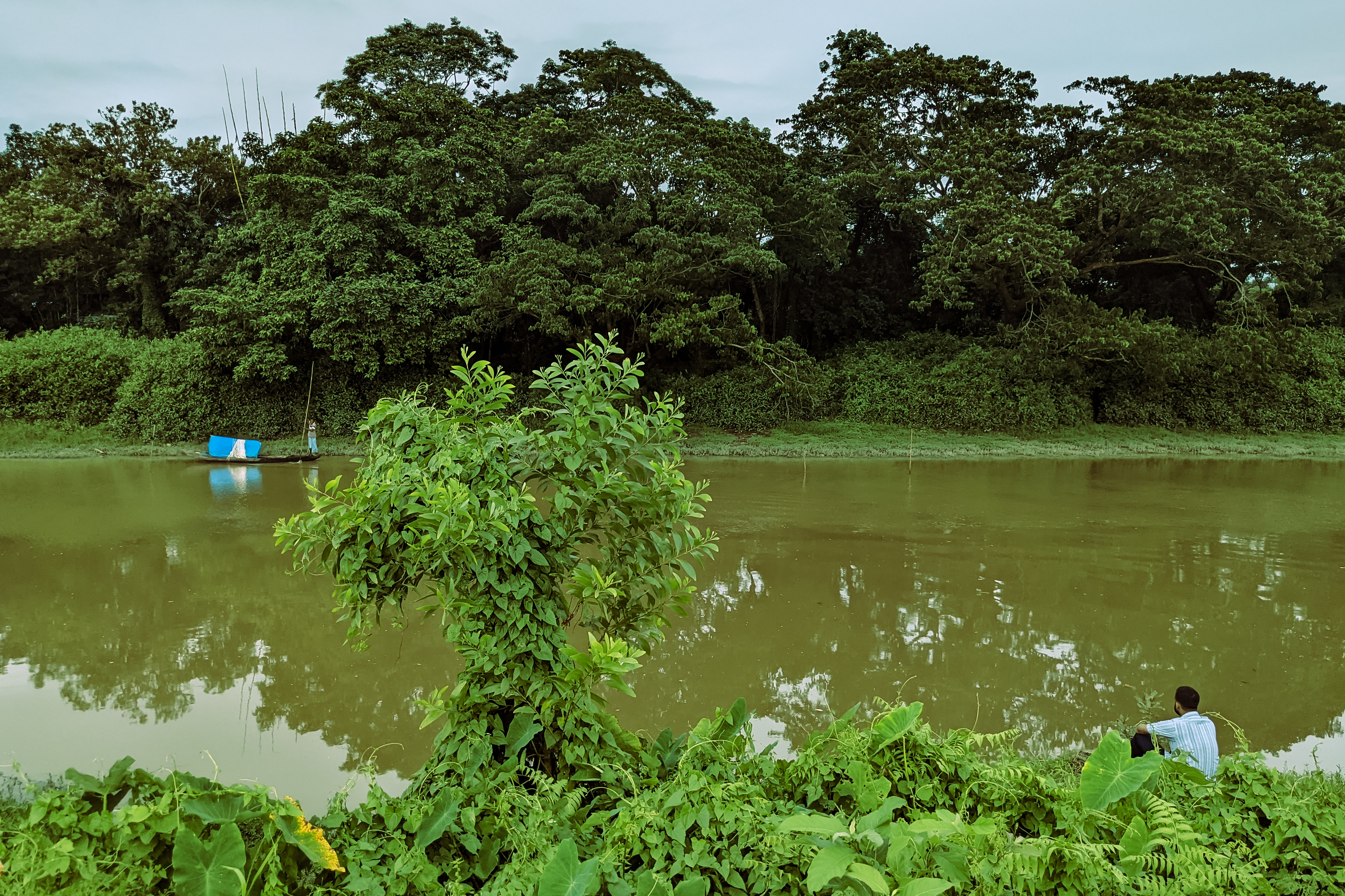 Beauty of Riverside