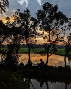 Golden hours