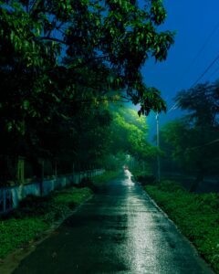 Rainy night