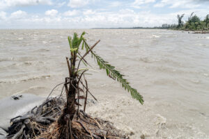 Riverbank Lives