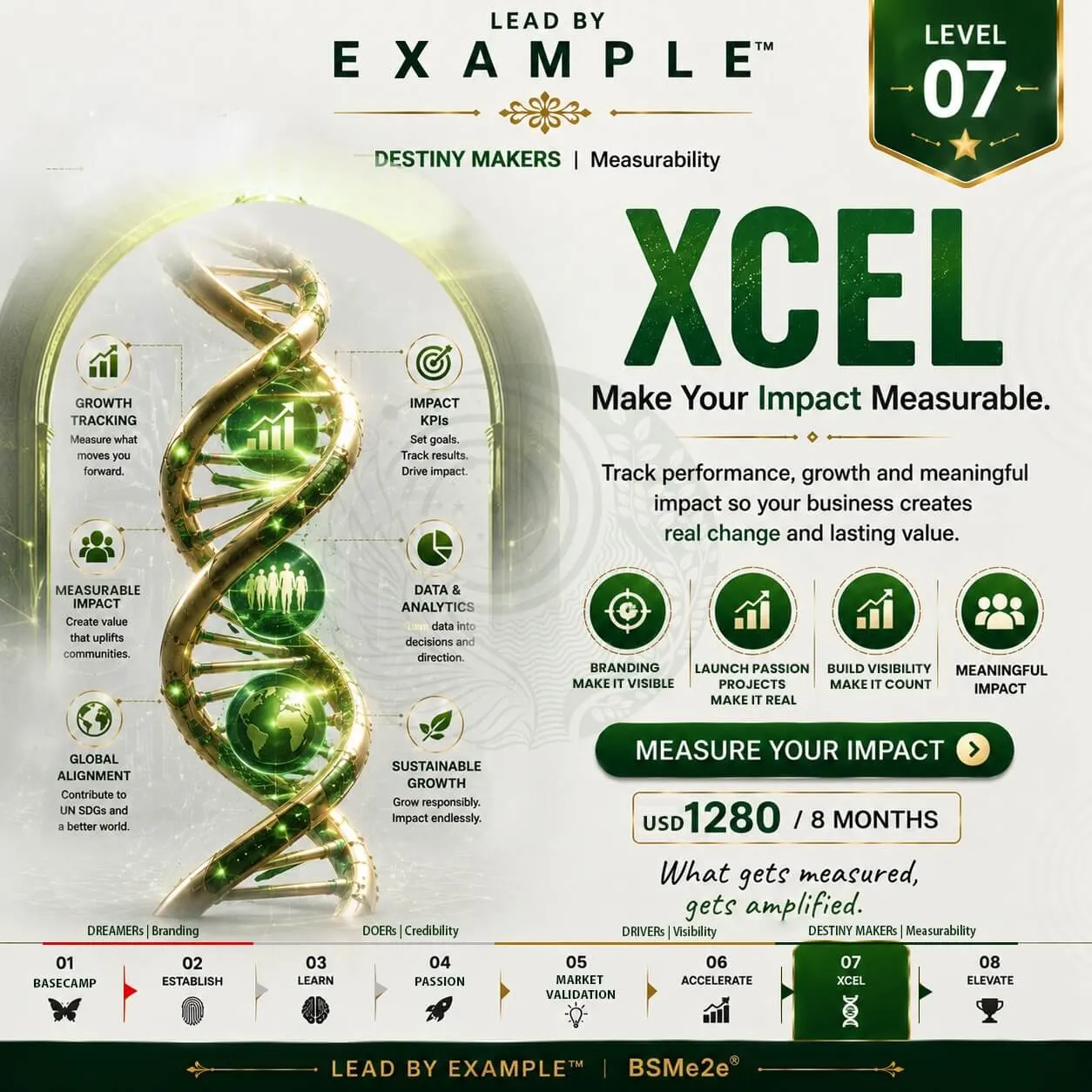 BSMe2e Level 7 Xcel – Measure business growth, performance and meaningful impact