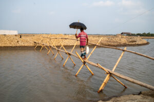 A Life Shaped by Water