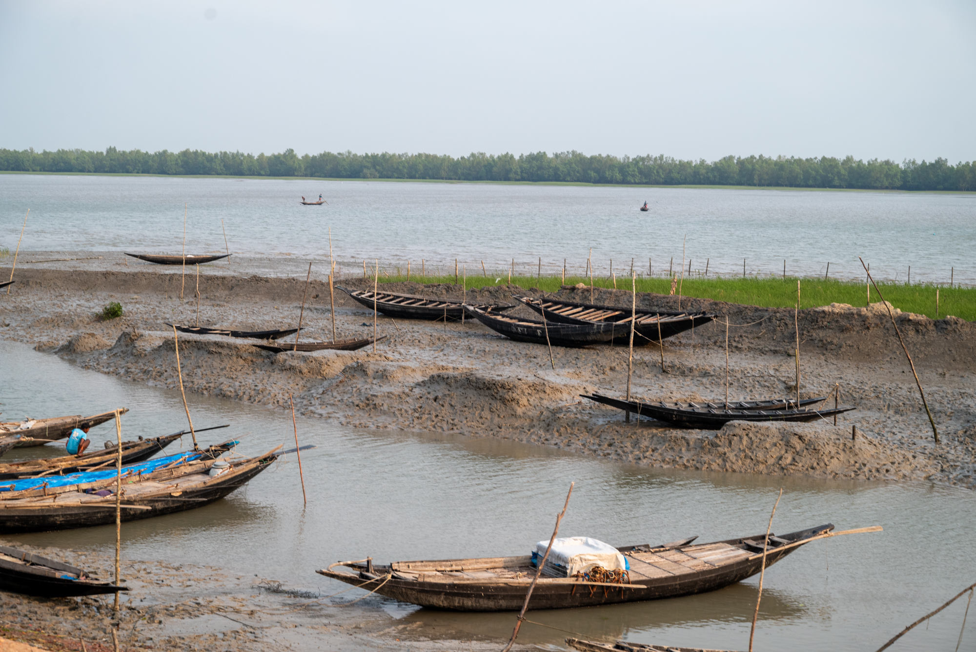 Coastal area