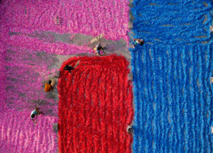 The Colors of Recycling