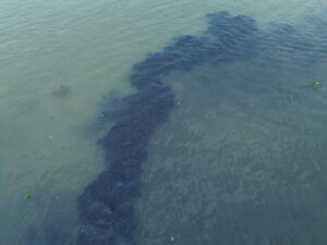 How Chemical and Plastic Waste Are Choking Our Rivers