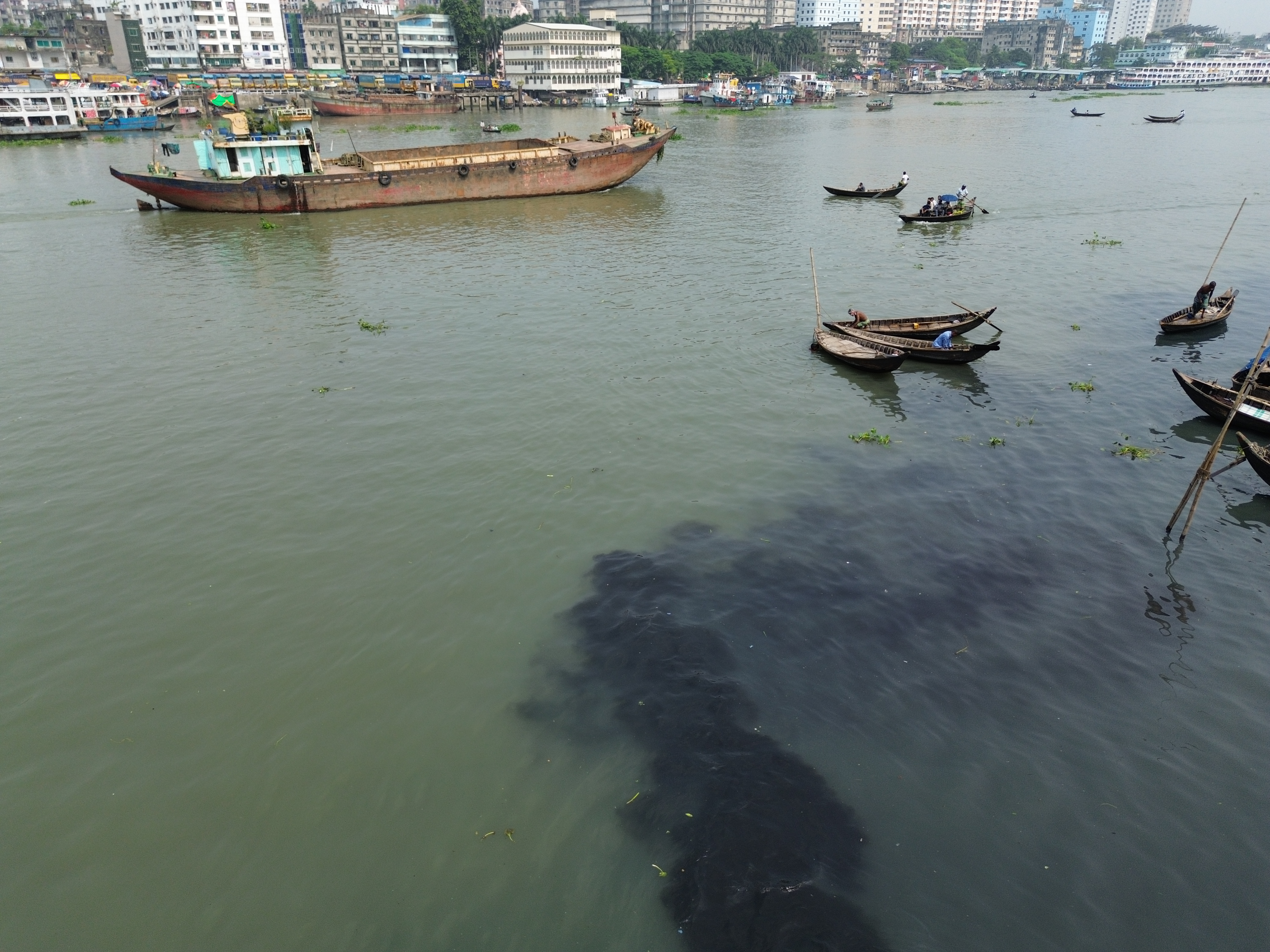 Dying Waters