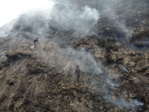 Surviving the Sprawling Waste: