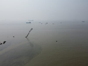 Guardians of the Shore: Nature-Based Solutions for Coastal