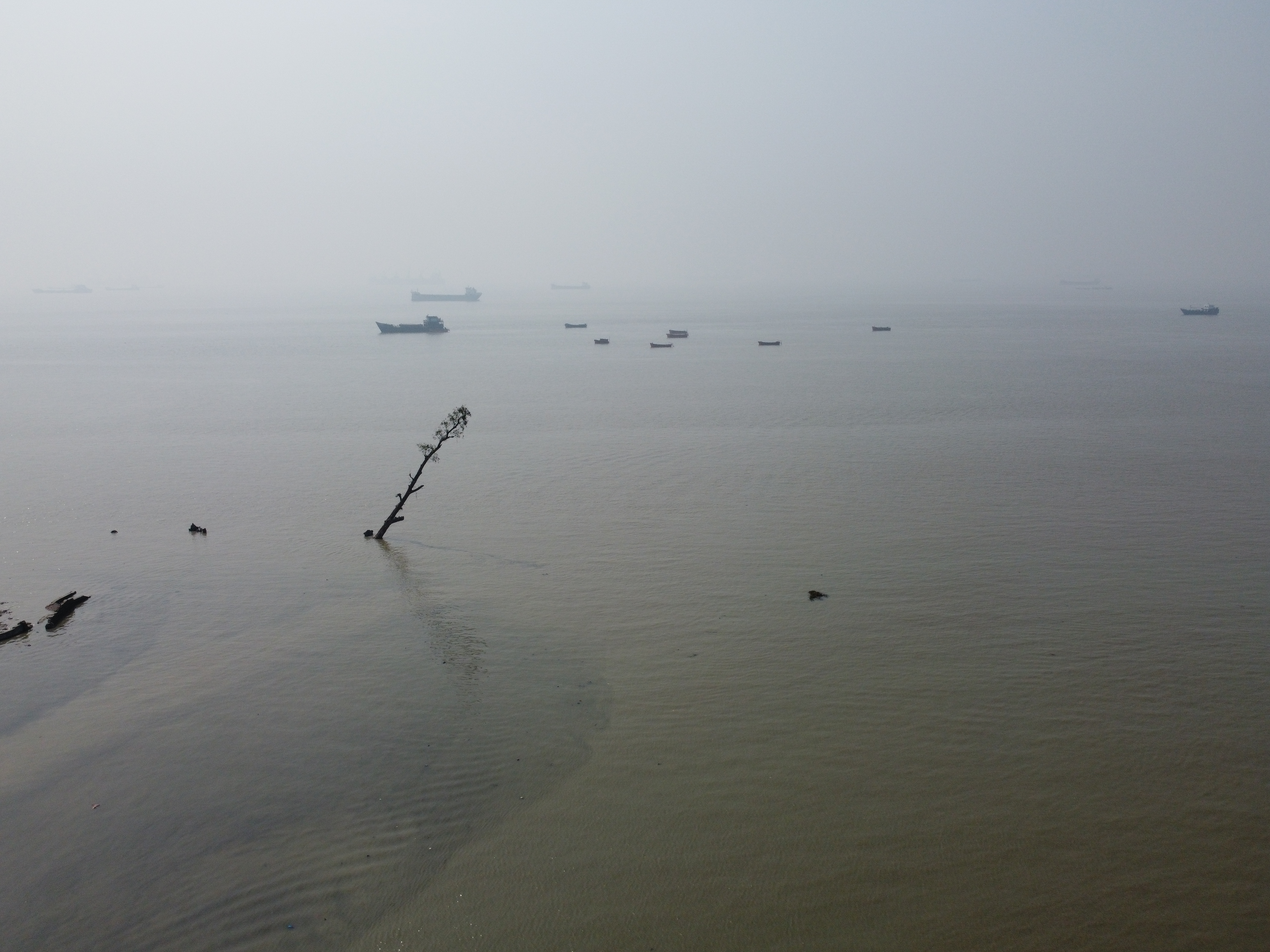Guardians of the Shore: Nature-Based Solutions for Coastal