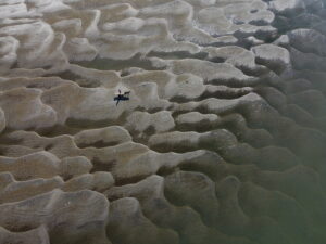 Scars of Drought