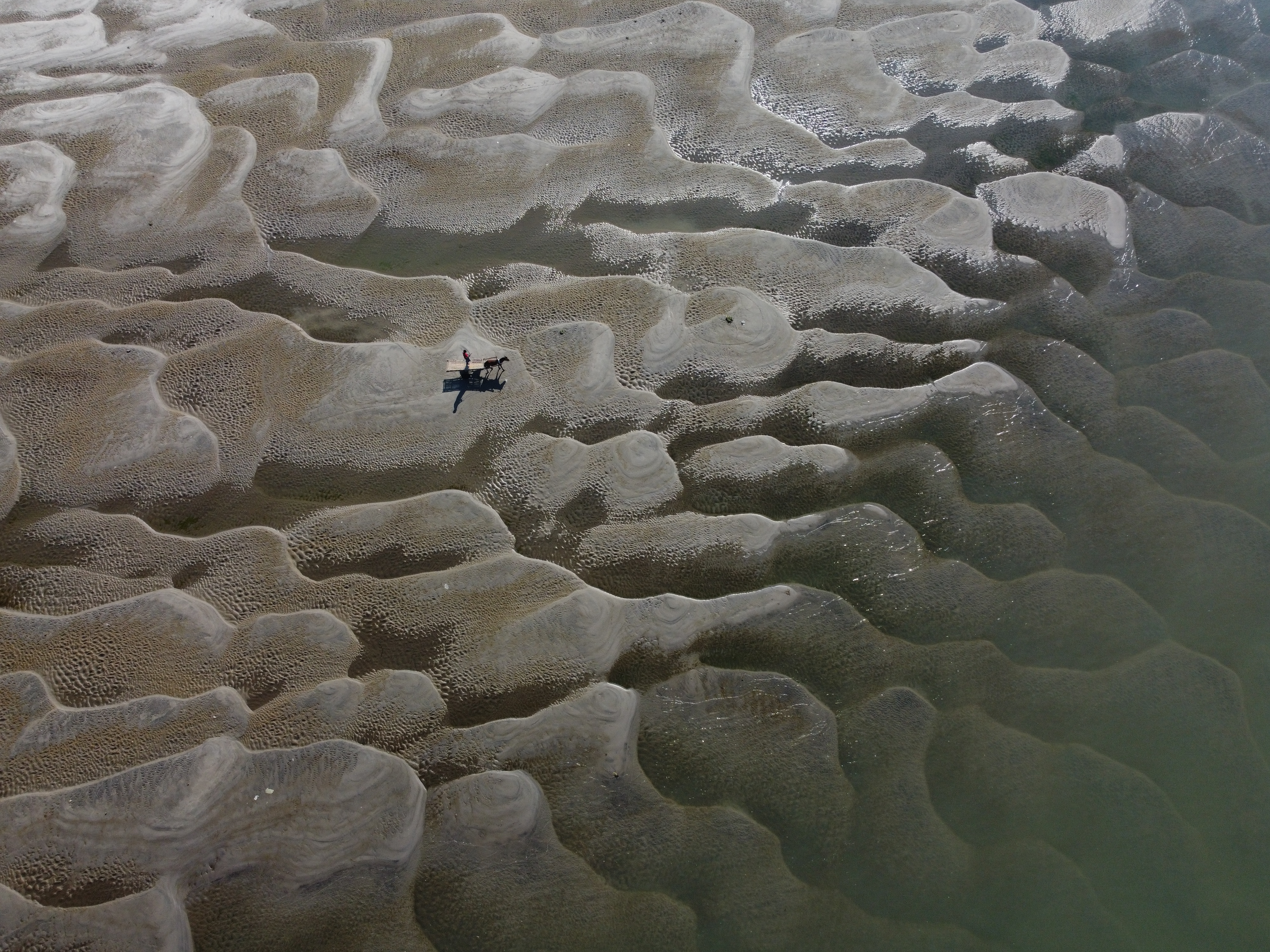 Scars of Drought