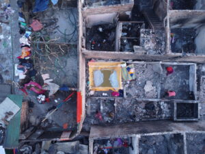 Life on Ash-Covered Ground