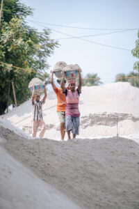 A Life in the Dust
