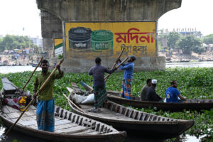 Navigating the Hyacinth