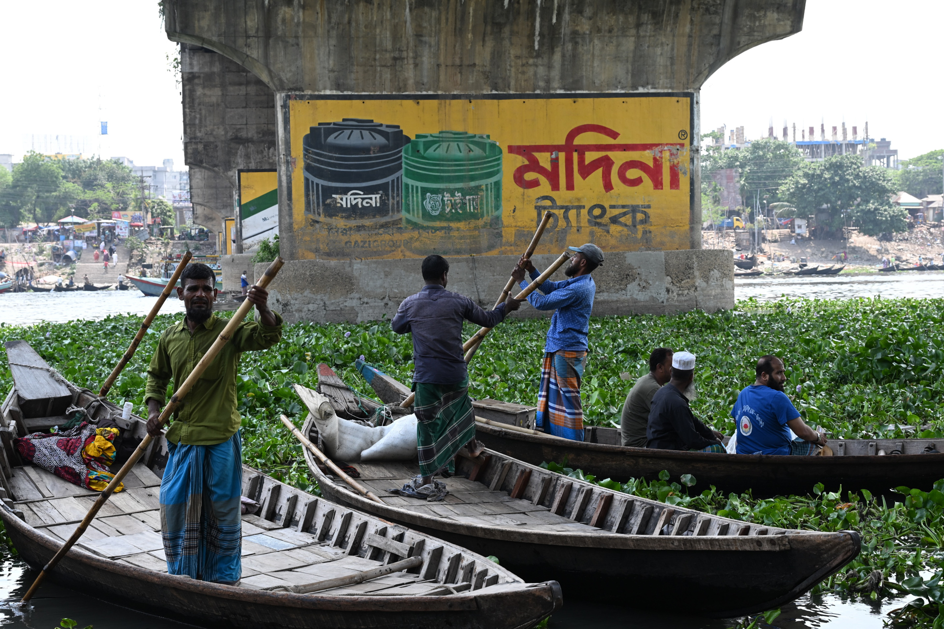 Navigating the Hyacinth