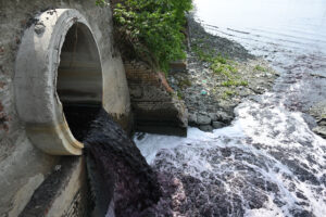 Polluted Waters