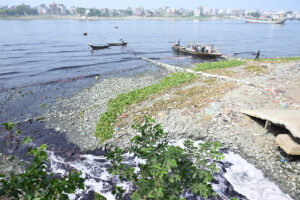 Pollution Meets the Shore