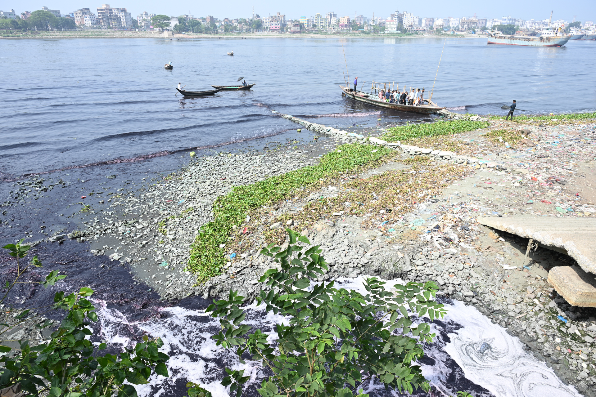 Pollution Meets the Shore