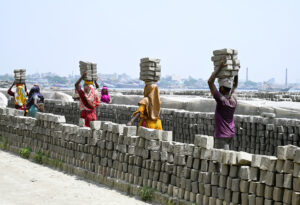 Women in the Workforce