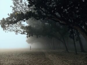 Lonely winter