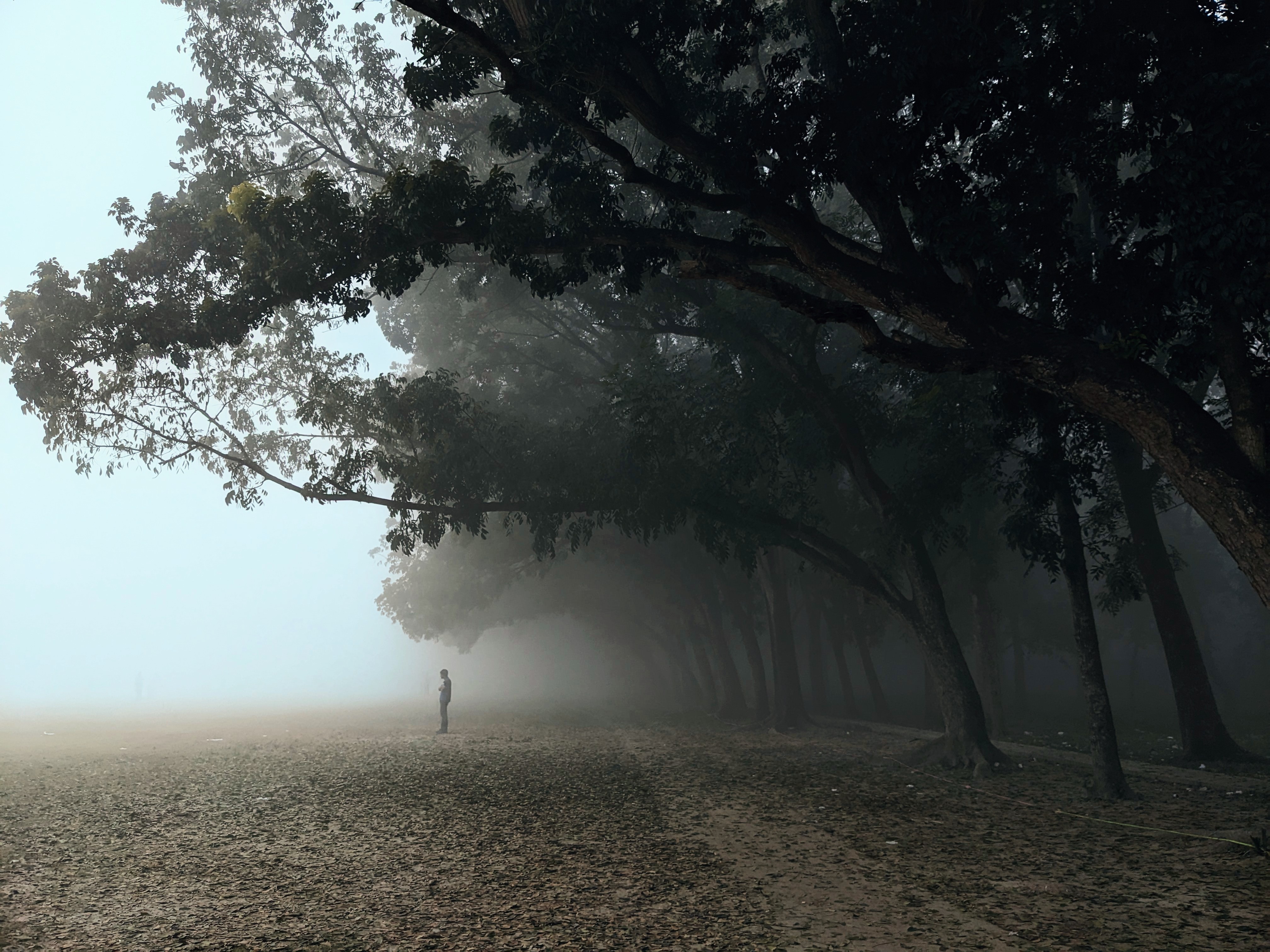 Lonely winter