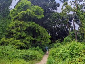 Into the green.