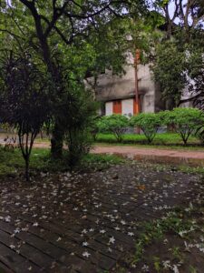 Beauty of autumn
