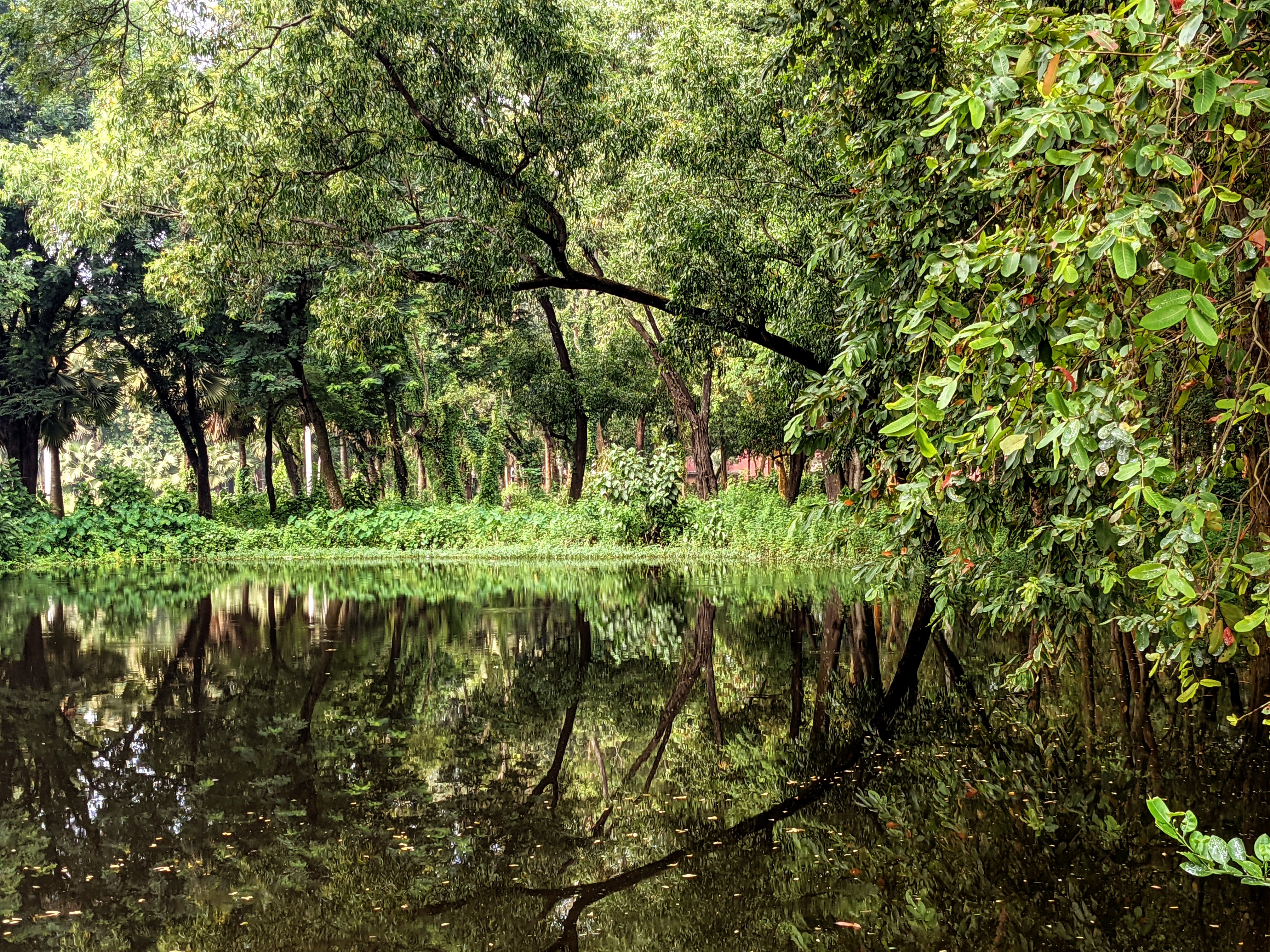 Nature beauty