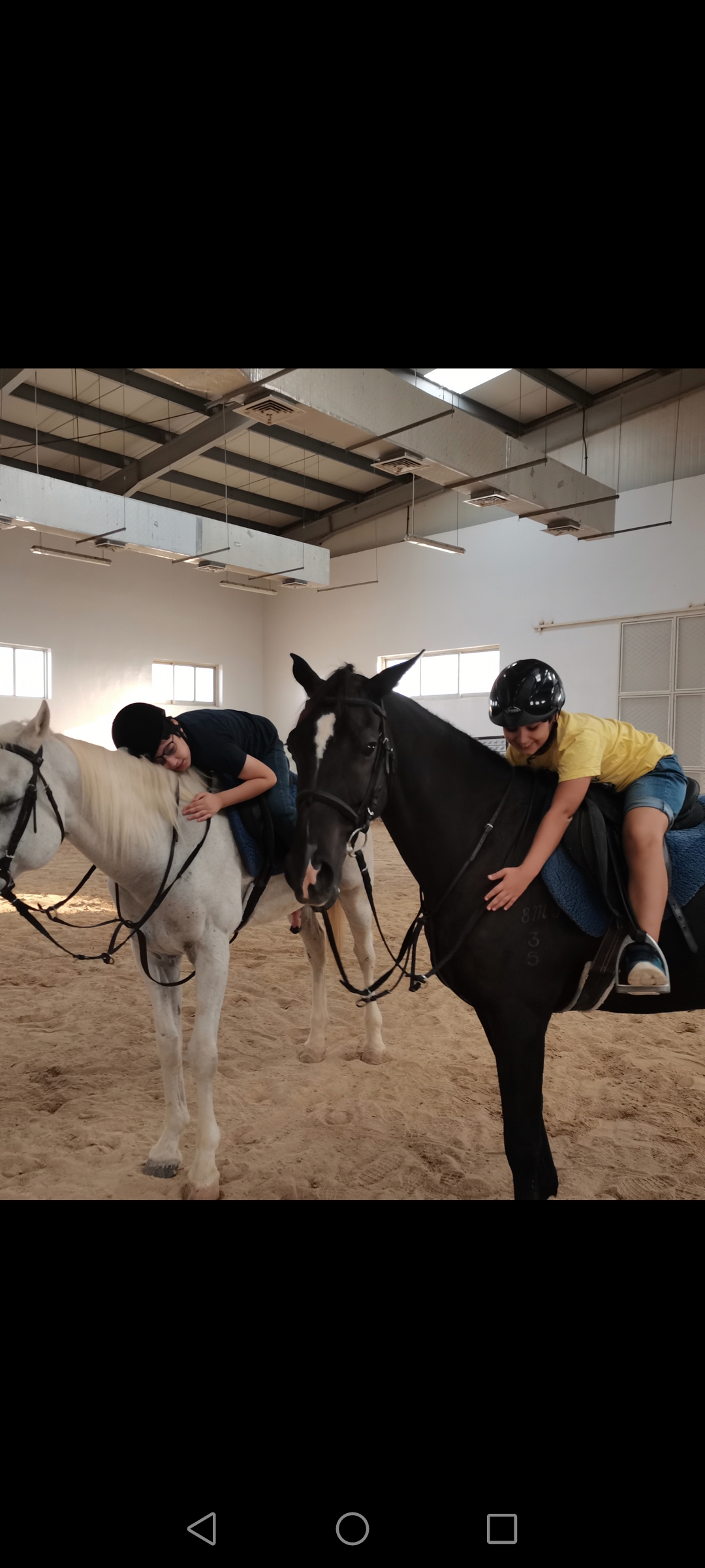 Horse Riding