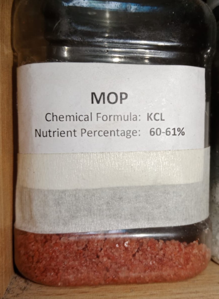MOP
