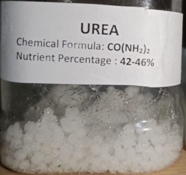 Urea