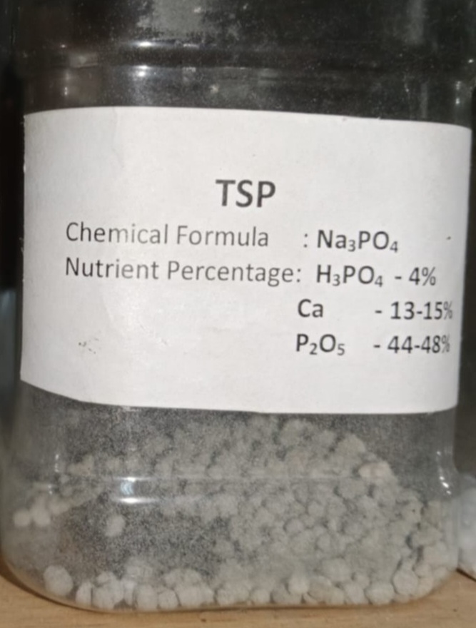 TSP