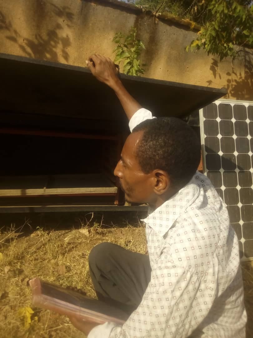 Market Survey for Solar Black-Body (BB) Dehydration Technology