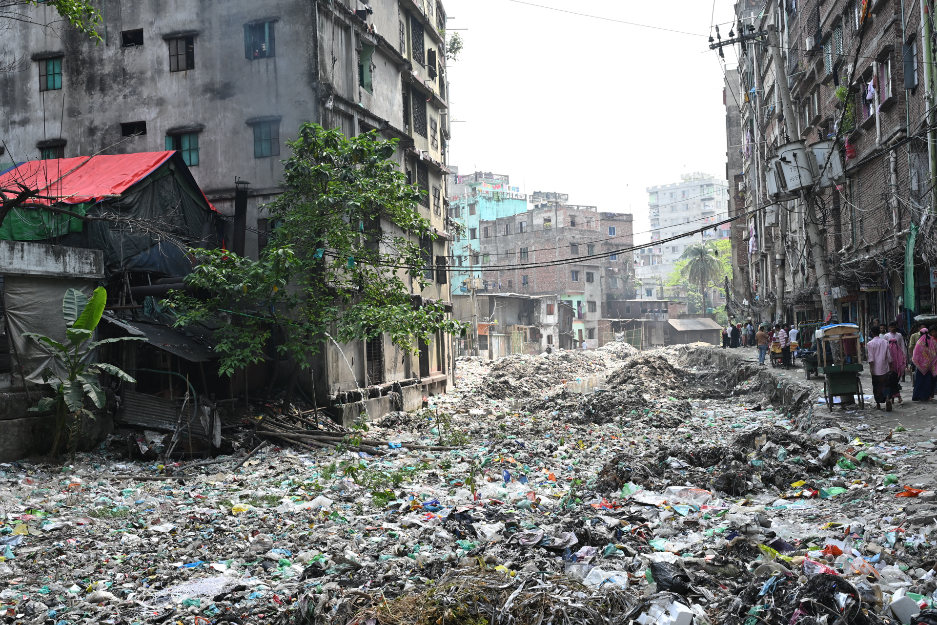 Waste Chokes the Canal