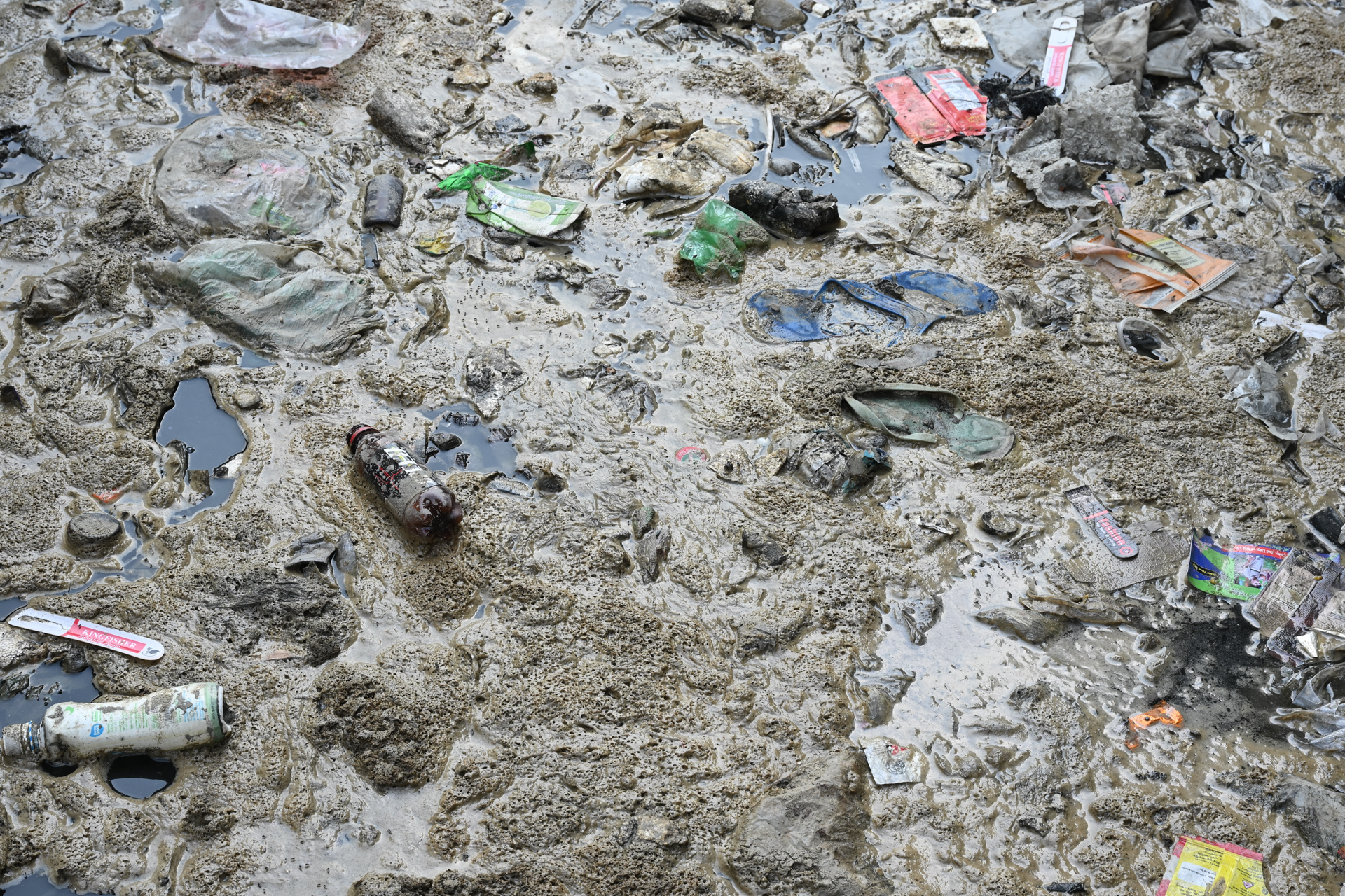 Plastic in the Mud